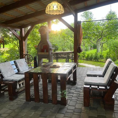Hotel Окремий Будинок-Апартаменти Rakoshyno Zewnętrze zdjęcie