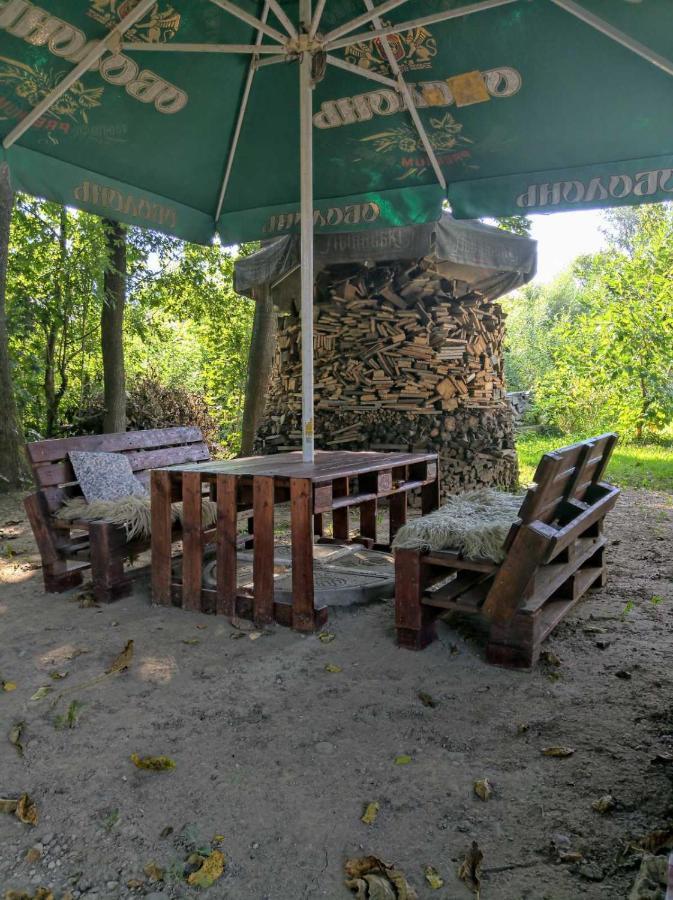 Hotel Окремий Будинок-Апартаменти Rakoshyno Zewnętrze zdjęcie