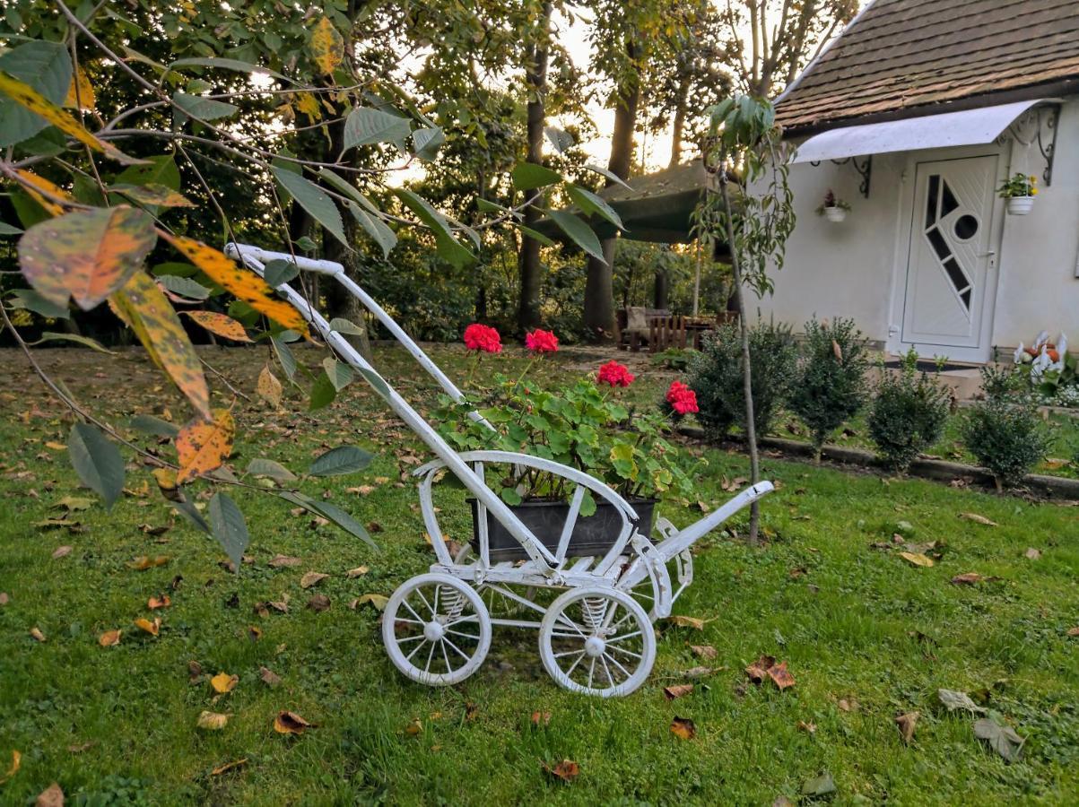 Hotel Окремий Будинок-Апартаменти Rakoshyno Zewnętrze zdjęcie