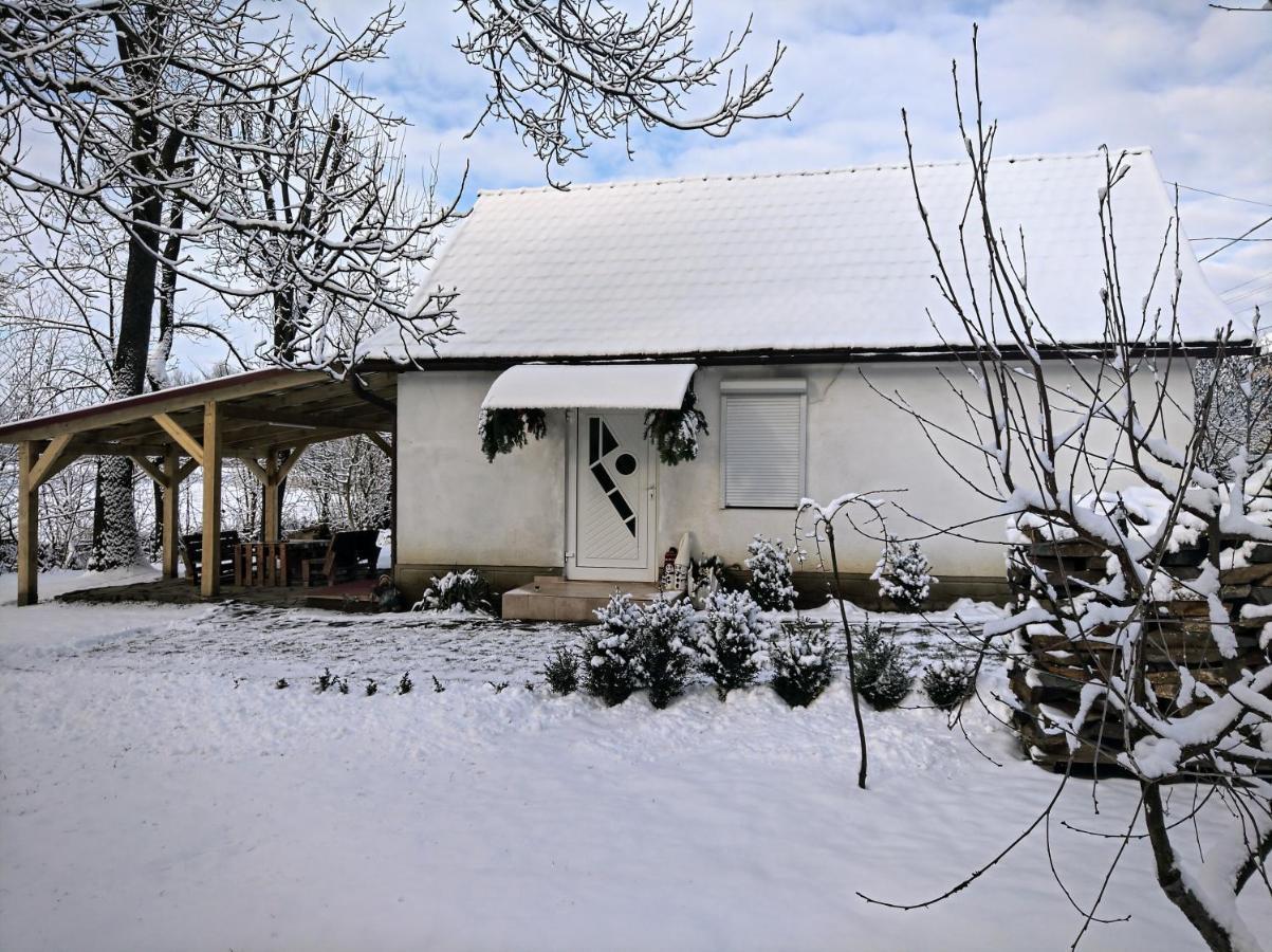Hotel Окремий Будинок-Апартаменти Rakoshyno Zewnętrze zdjęcie