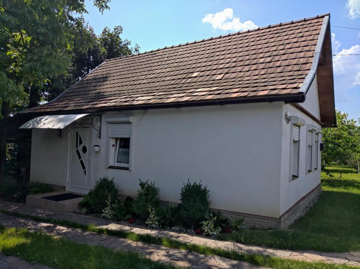Hotel Окремий Будинок-Апартаменти Rakoshyno Zewnętrze zdjęcie