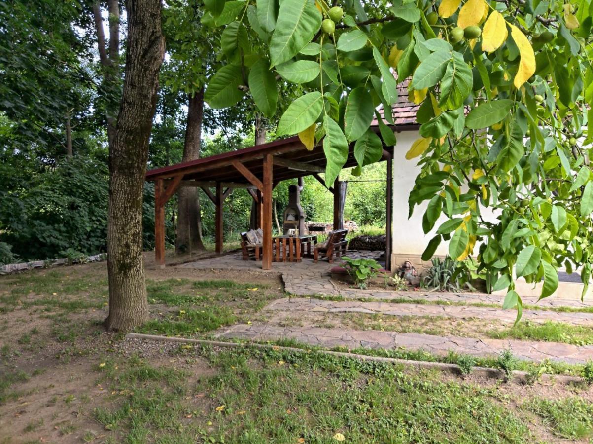 Hotel Окремий Будинок-Апартаменти Rakoshyno Zewnętrze zdjęcie